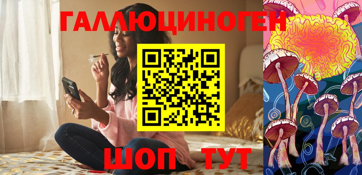 Ростов-на-Дону  Псилоцибиновые грибы GOLDEN TEACHER  Вход с VPN  Галлюциногенные грибы Magic Shrooms 